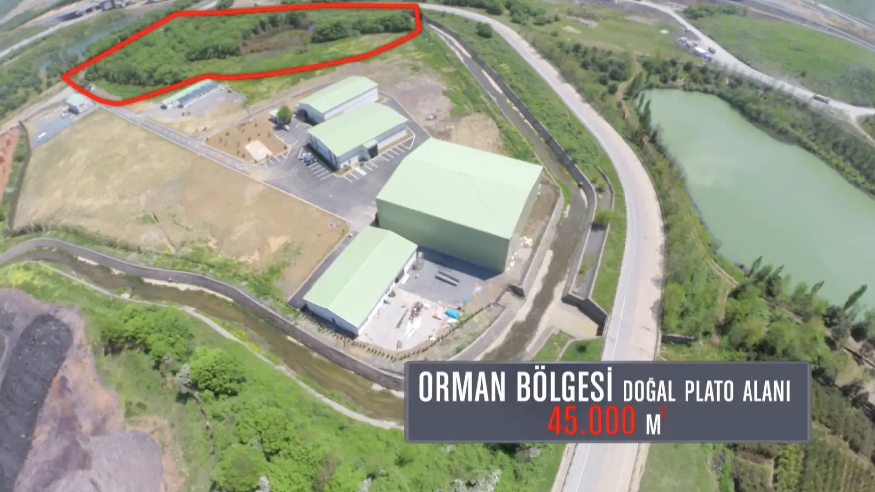 Orman Bölgesi